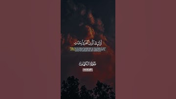 القارئ ليث محمد