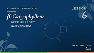 🔴 LIVE: Blend by Chemistry (Week 6) - β-Caryophyllene: Deep Support and Restoration
