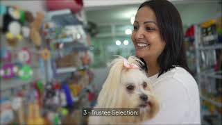 Trust Funds for Pets: 3-Setting Up and Funding Your Pet Trust