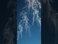 How Rain Is Actually Made 🌧️🤯