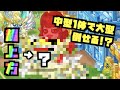 【城ドラ】○○超上方!1体で大型倒せるのヤバすぎん!?【YASU|城とドラゴン】