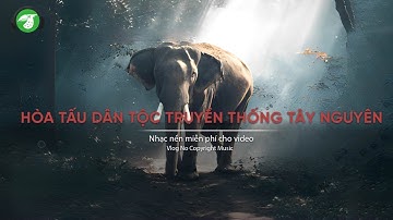 Hòa Tấu Nhạc Truyền Thống Dân Tộc - Nhạc Tây Nguyên Không Lời (P1) - AudioBay (Nhạc không bản quyền)