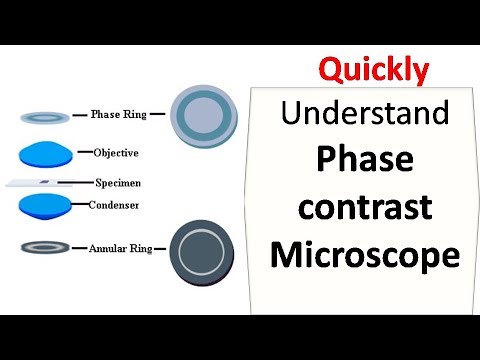 Video: Waarom gebruiken we fasecontrastmicroscopie?