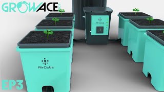 First Week In The AirCube Active Oxygen Ebb and Flow Grow System - AirCube Grow EP3