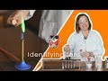 Identifying Ions - GCSE Science Required Practical