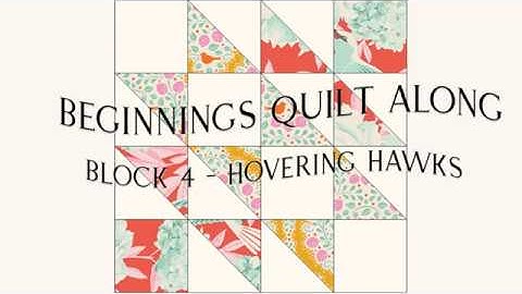 Beginnings Quilt Along Block 4 - Hovering Hawks