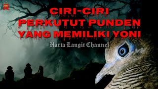 Download Lagu Ciri-ciri Perkutut Punden asli yang memiliki yoni MP3