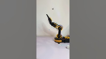 Grados de Libertad (GDL) 🌀🔗