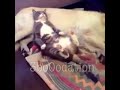 مرتاح متونس
