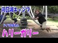 【秋の河口湖】ドイツ生まれのハリーガリー!!