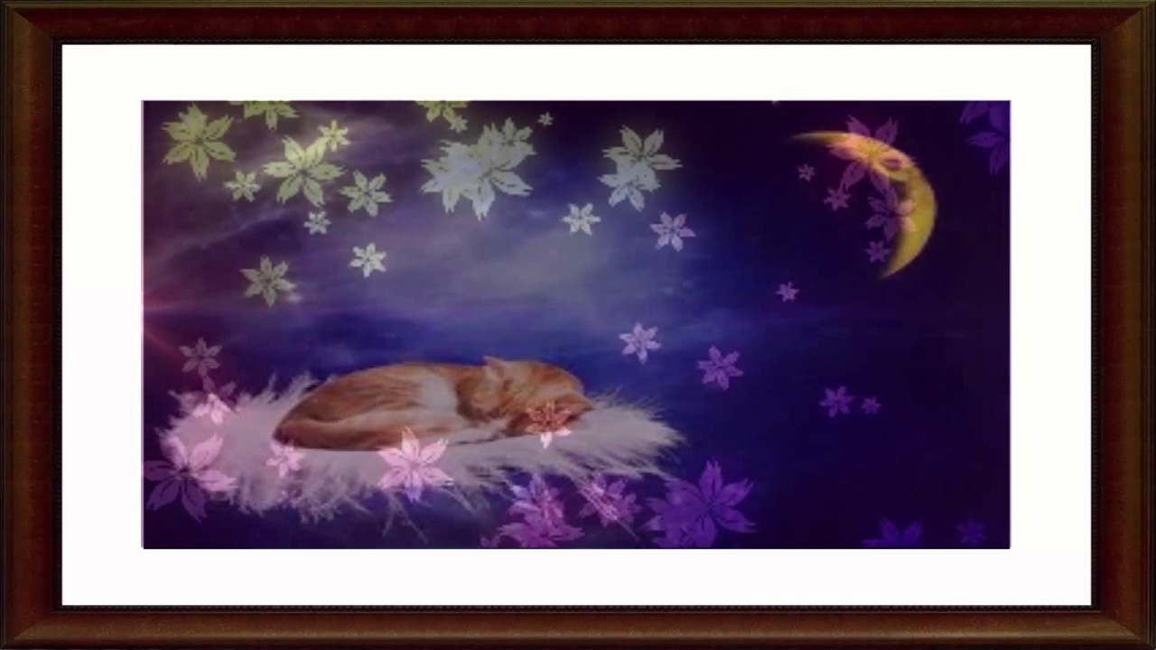 🌙 comptine pour dormir bébé. 🌟 chanson pour faire dormir bébé - YouTube