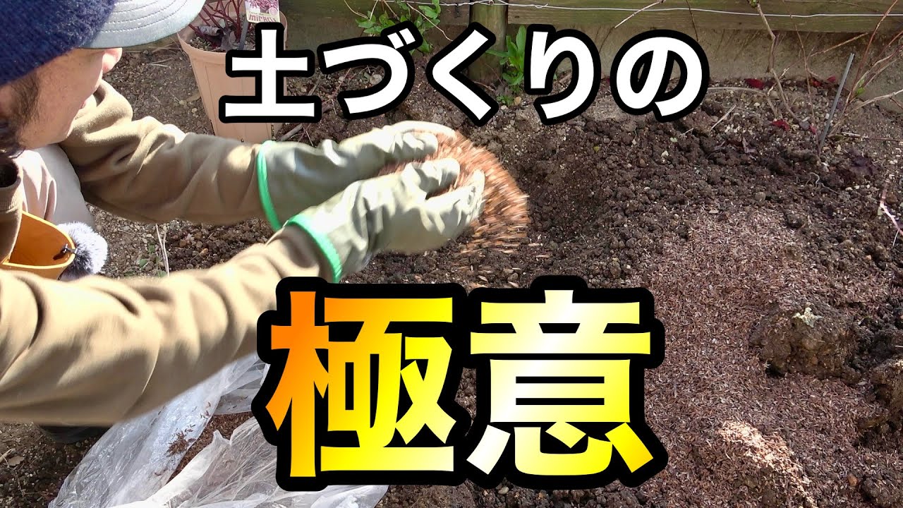 冬の庭の土づくりに欠かせない事　【園芸超人カーメン君】