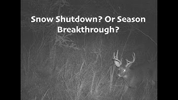 Snow Shutdown? or Season Breath-through?