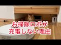お掃除ロボが充電しないのには可愛い可愛い理由がありました。
