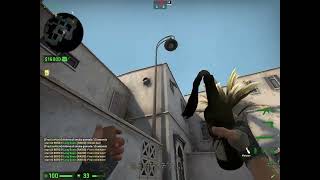 Molly Short From Long