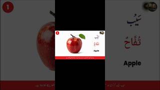 Apple | Fruit Names in Urdu, Arabic & English