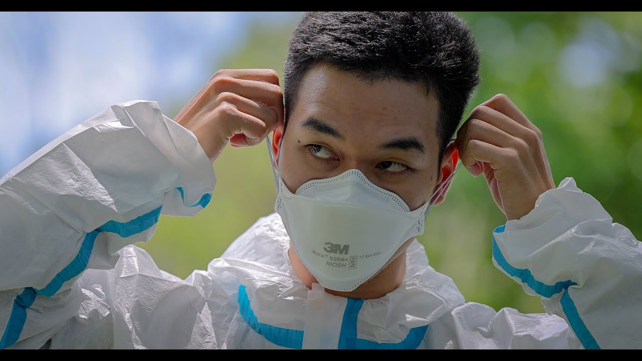 Team prepares for vampire bat research in Colombia