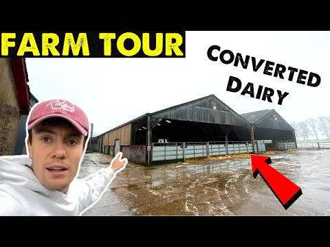 Cattle Shed Tours | Smart Ideas | Dairy Conversion