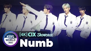 [4K] CIX 씨아이엑스 ’Numb(순수의 시대)’ Stage Showcase 쇼케이스 무대(191119)