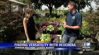 In The Garden: Finding versatility with heuchera