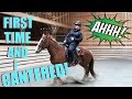 MY BROTHER RIDES MY HORSE AND CANTERS! Day 314 (11/12/17)