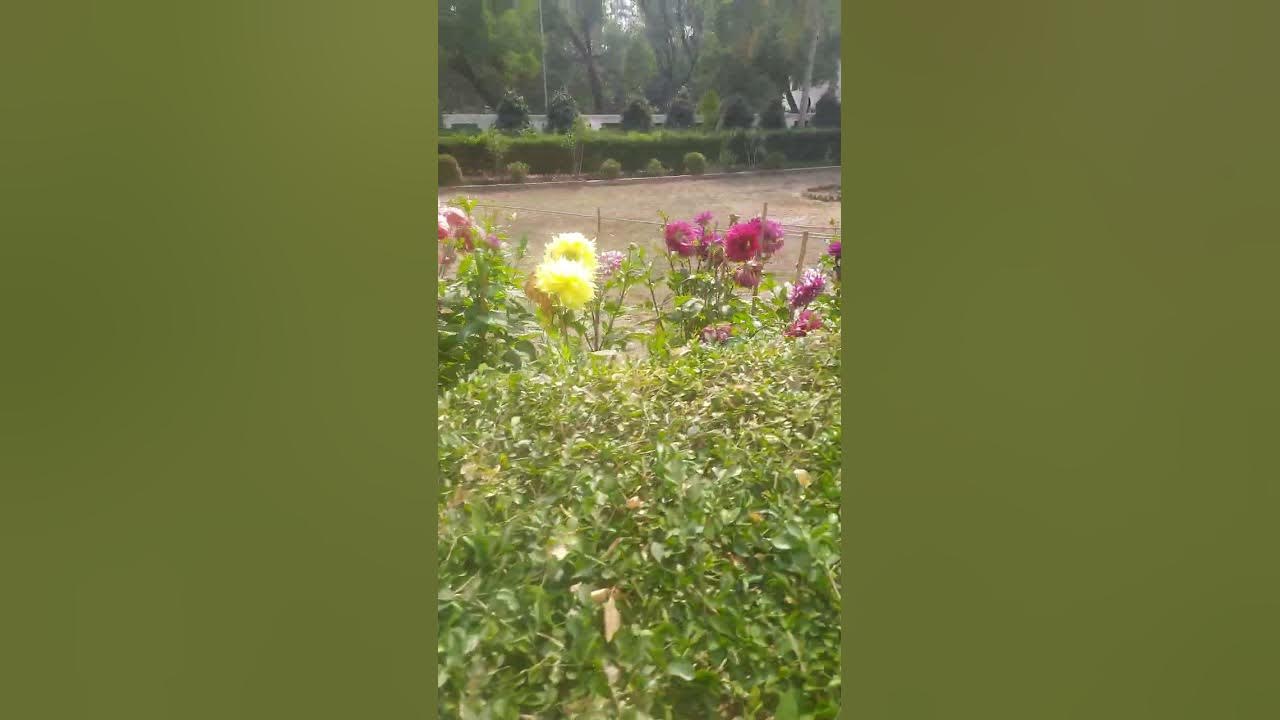 Sail Holiday Home at Digha YouTube