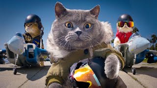 Top Gun with Cats by AaronsAnimals 6,038,896 views 1 year ago 8 minutes, 1 second