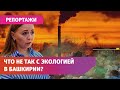 Почему Greenpeace не видит у Башкирии большого стремления в развитии экологии?