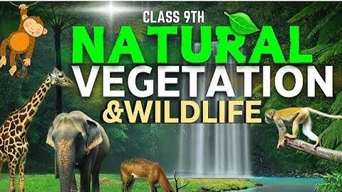 Natural Vegetation and Wildlife class 9 CBSE full chapter Of geography in Animation | CBSE | NCERT