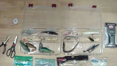 Top 5 MUST HAVE Lures for Shore Fishing Rhode Island