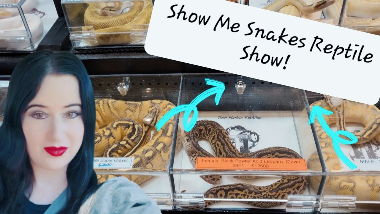 Show Me Snakes Reptile Show - The Venue at Coosa Landing in Gadsden AL! 🐍