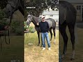 Can Indalo shine at Goodwood? Roger Varian reveals more