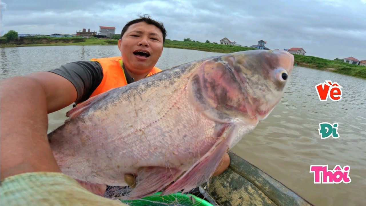 Buổi Cuối Cùng Thả Tấm Lưới Siêu To Khổng Lồ Bắt Con Cá Lớn / Quế Nghịch