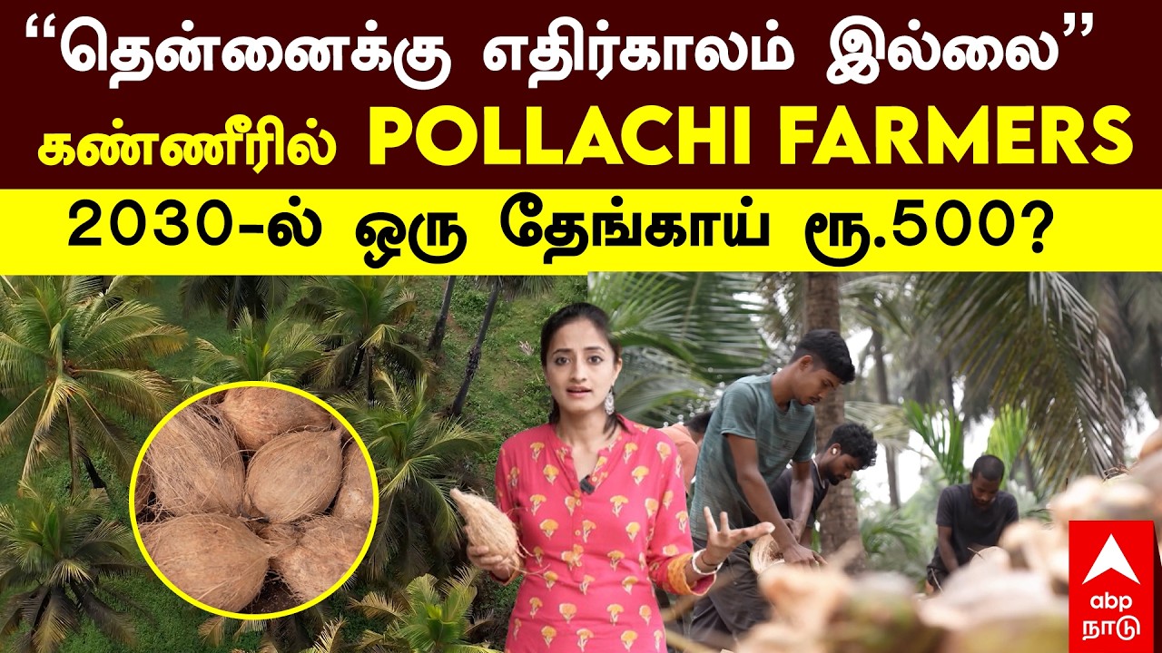 Pollachi Coconut|’’தென்னைக்கு எதிர்காலம் இல்லை’’கண்ணீரில் Pollachi ...