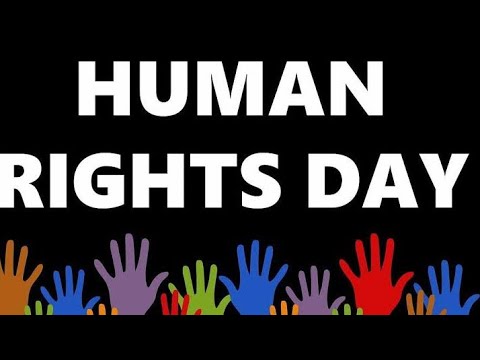 World human rights day whatsapp status/ world human rights  day status video/ human rights day 2021