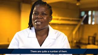 Meet a metallurgist