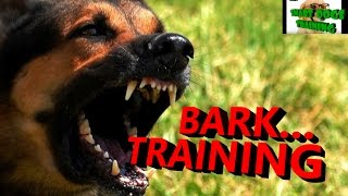 How To Train Your Dog To Bark And Stop Barking Training In Hindi Dog Training In Hindi Youtube