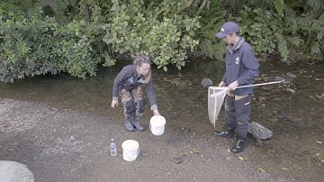 SHMAK Stream Life – How to get your Benthic Macroinvertebrate Sample Ready for Sorting