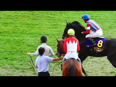 【武豊】菊花賞本馬場入場でロブチェンをマーク イライラし発汗目立つロブチェンはレース前で終わっていたのかもしれない