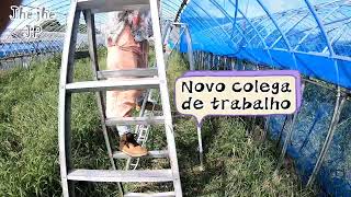 Cortes Jhejhe Jp - Olha O Amiguinhooo