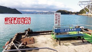 新場所で遂に太さの記録更新【車中泊幻の魚を狙って海上騒然】#2