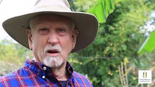 Growing Ice-cream Banana Trees with Dr. Bob Randall