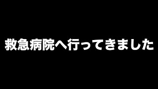 突然愛犬の目が開かなくなったので救急病院に行ってきました。