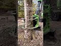 Monster Tree Cutting Machine In Action! (Unbelievable Power)