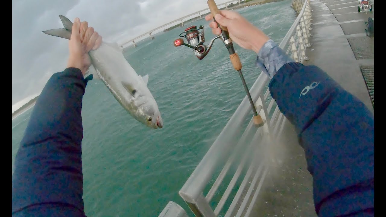 Saltwater MINI ROD FRENZY In A STORM Micro Fishing Sebastian Inlet 