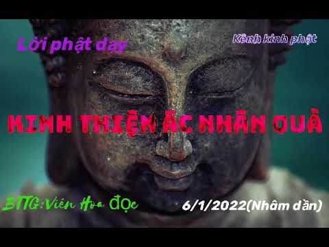 Video Kinh Thiện ác Nhân Quả - youtube