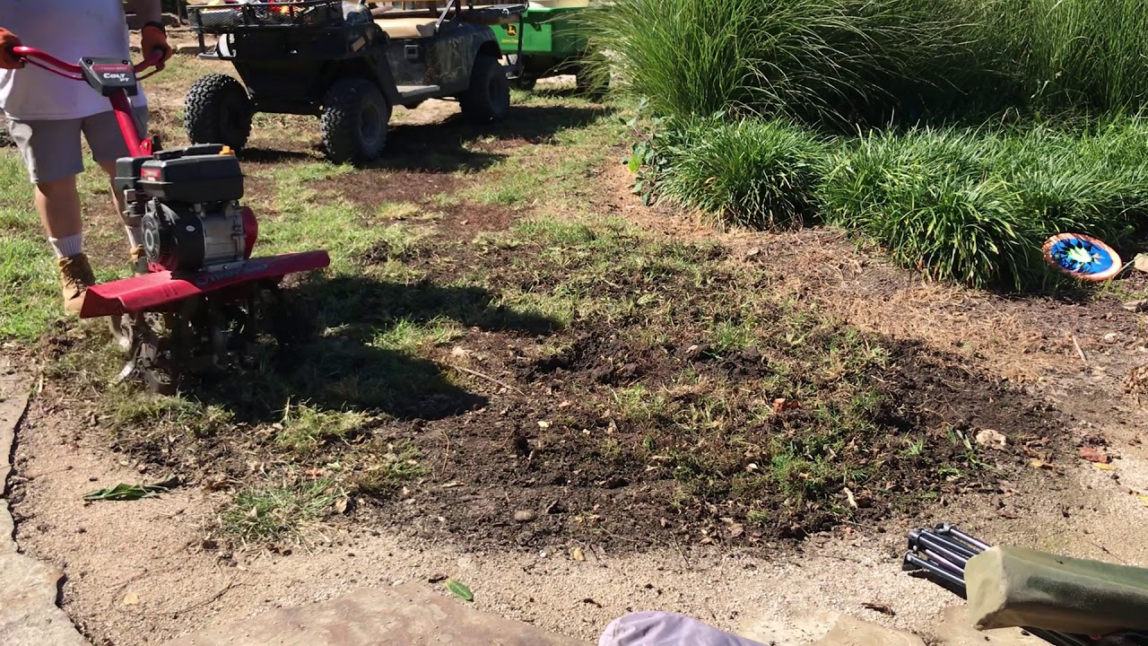 sobriety checkpoint 2 Prepaing to plant a Catalpa tree