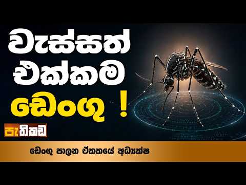 2026දී ඩෙංගු වලින් මැරුණු 70%ක්ම කාන්තාවන් !