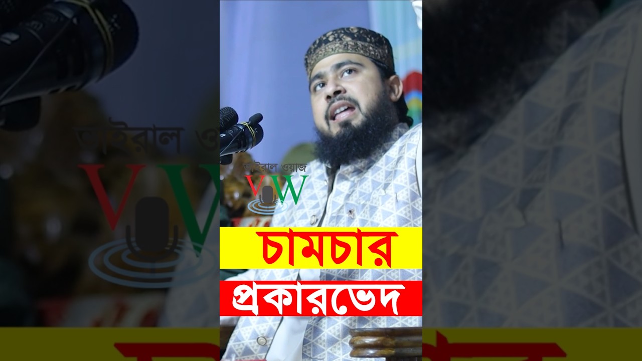 চামচামির প্রকারভেদ - এম হাসিবুর রহমান youtube short videos