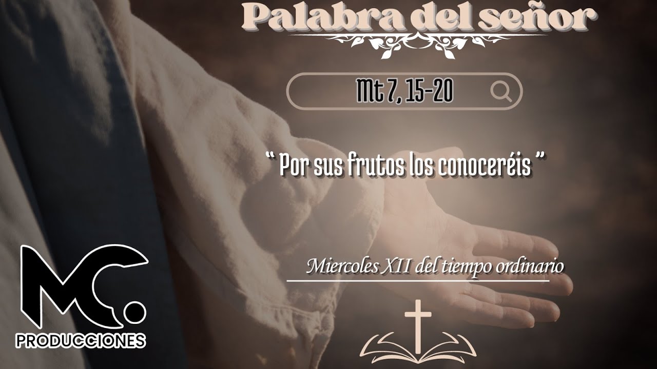 Mt 7 15 20 Mi rcoles XII Tiempo Ordinario YouTube mt-7-15-20-mi-rcoles-xii-tiempo-ordinario-youtube